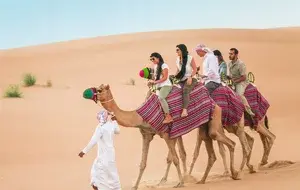 camel-safari-tour