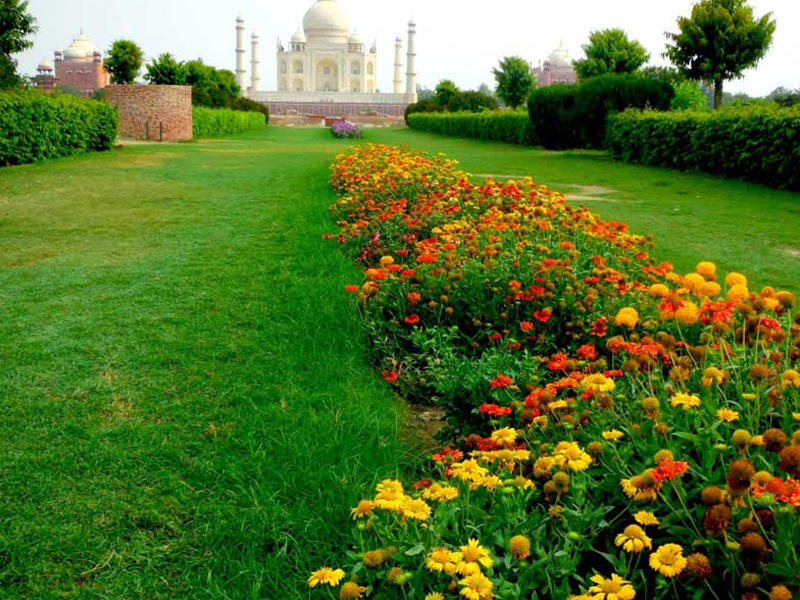 Taj Mahal Gardens